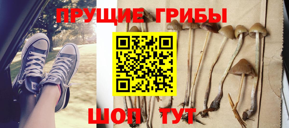 Галлюциногенные грибы Magic Shrooms Стрежевой